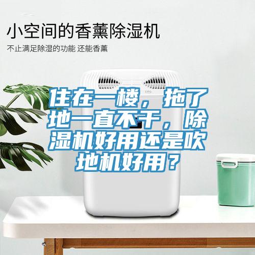 住在一樓，拖了地一直不幹，草莓视频污污污污好用還是吹地機好用？