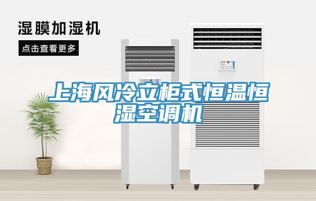 上海風冷立櫃式恒溫恒濕空調機