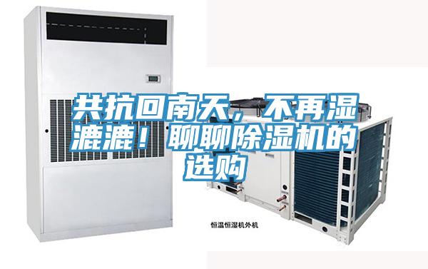 共抗回南天，不再濕漉漉！聊聊草莓视频污污污污的選購