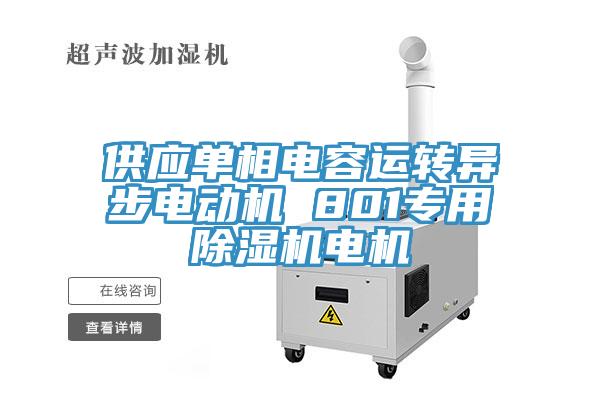 供應單相電容運轉異步電動機 801專用草莓视频污污污污電機