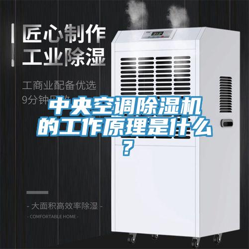 中央空調草莓视频污污污污的工作原理是什麽？