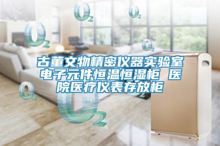 古董文物精密儀器實驗室電子元件恒溫恒濕櫃 醫院醫療儀表存放櫃