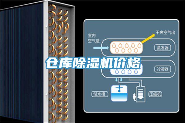 倉庫草莓视频污污污污價格