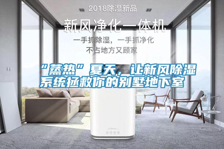 “蒸熱”夏天，讓新風除濕係統拯救你的別墅地下室