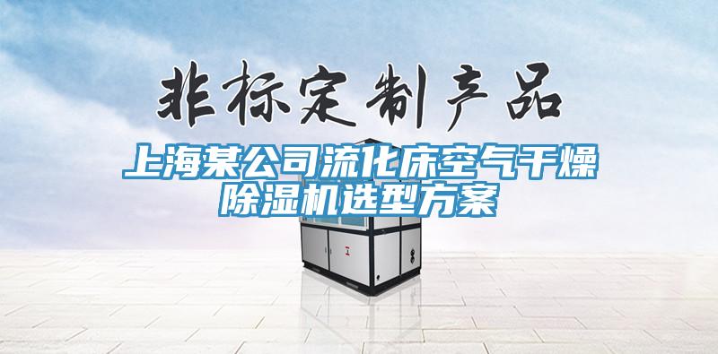 上海某公司流化床空氣幹燥草莓视频污污污污選型方案