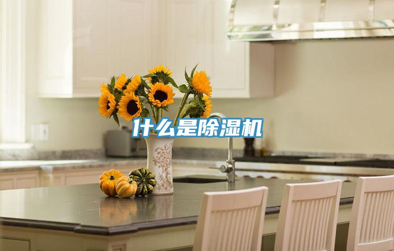 什麽是草莓视频污污污污