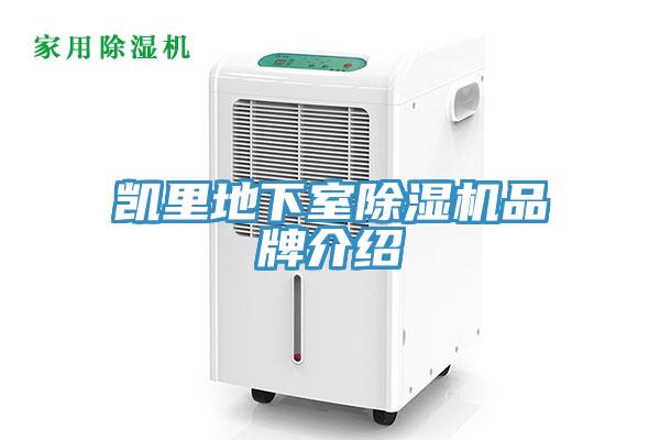 凱裏地下室草莓视频污污污污品牌介紹