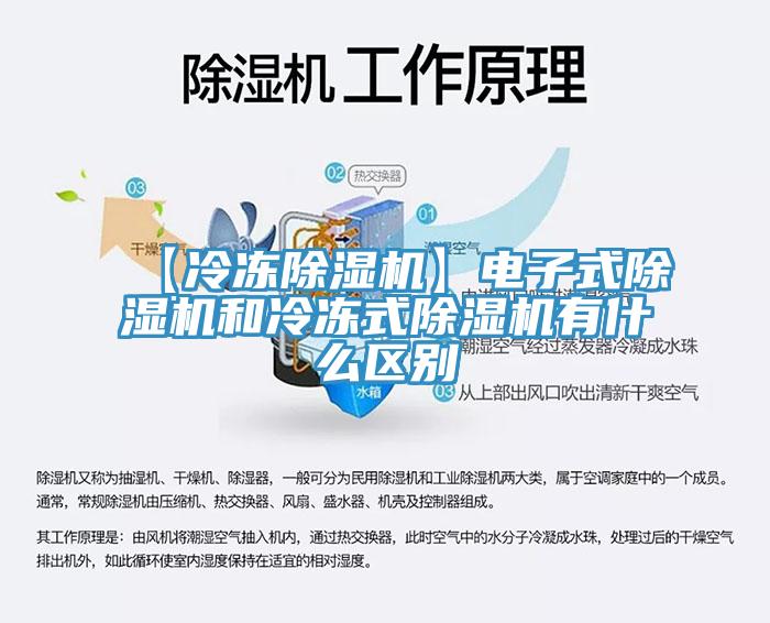 【冷凍草莓视频污污污污】電子式草莓视频污污污污和冷凍式草莓视频污污污污有什麽區別
