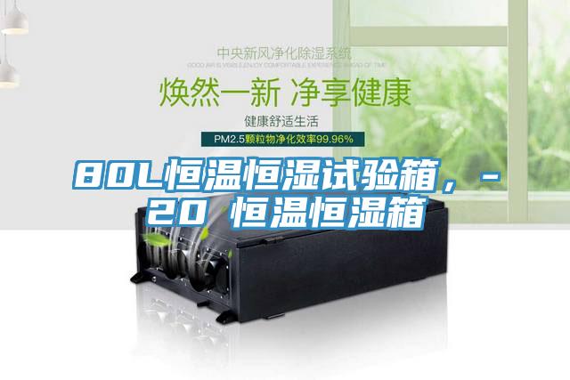 80L恒溫恒濕試驗箱，-20℃恒溫恒濕箱