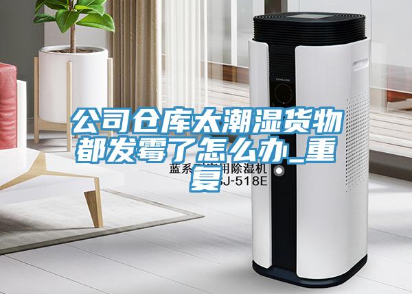公司倉庫太潮濕貨物都發黴了怎麽辦_重複