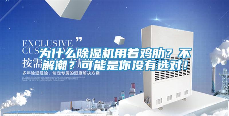 為什麽草莓视频污污污污用著雞肋？不解潮？可能是你沒有選對！