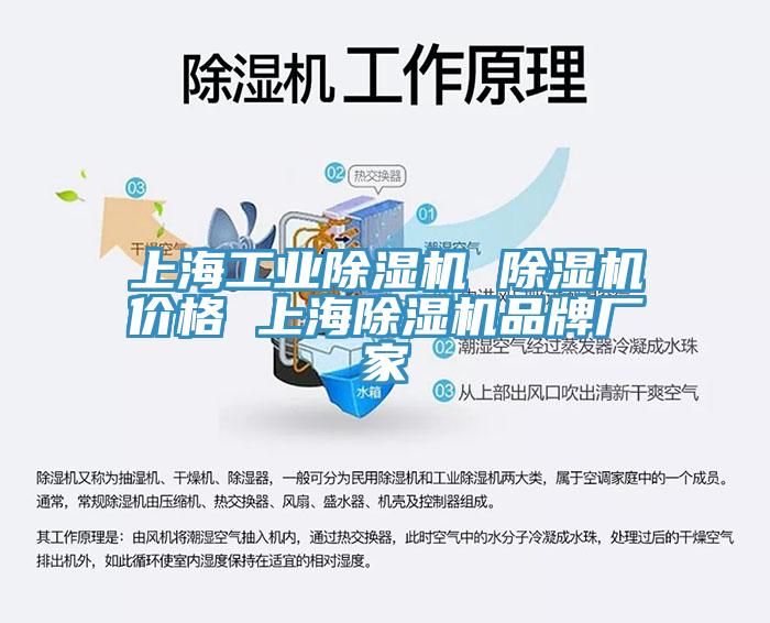 上海工業草莓视频污污污污 草莓视频污污污污價格 上海草莓视频污污污污品牌廠家