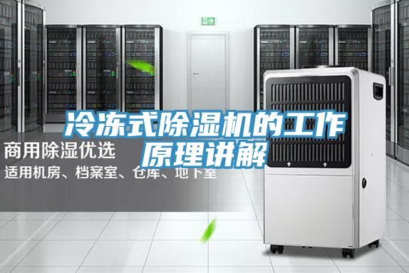 冷凍式草莓视频污污污污的工作原理講解