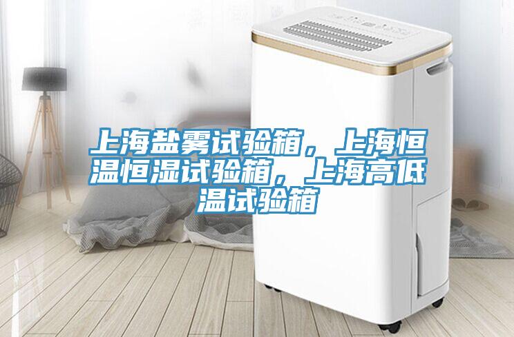 上海鹽霧試驗箱，上海恒溫恒濕試驗箱，上海高低溫試驗箱