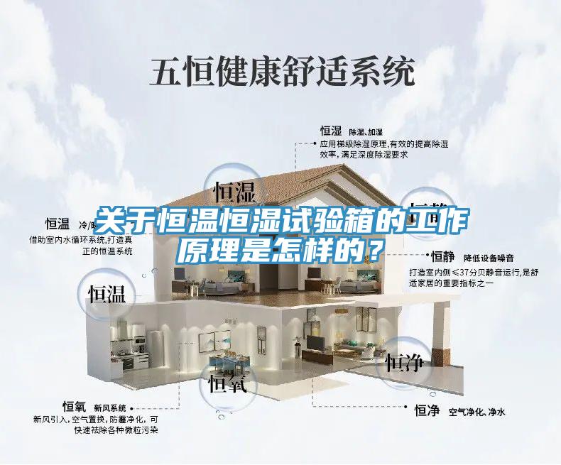 關於恒溫恒濕試驗箱的工作原理是怎樣的？
