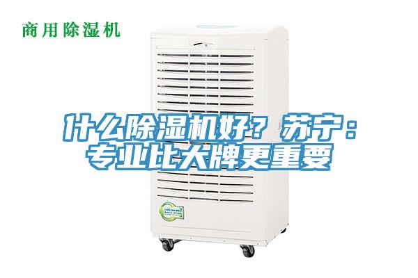 什麽草莓视频污污污污好？蘇寧：專業比大牌更重要