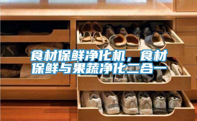 食材保鮮淨化機，食材保鮮與果蔬淨化二合一