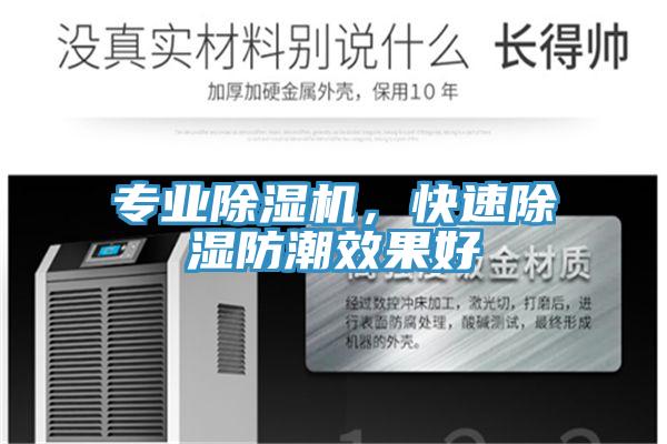 專業草莓视频污污污污，快速除濕防潮效果好