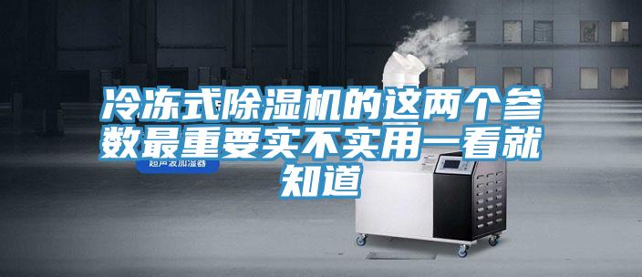 冷凍式草莓视频污污污污的這兩個參數最重要實不實用一看就知道
