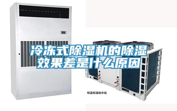 冷凍式草莓视频污污污污的除濕效果差是什麽原因