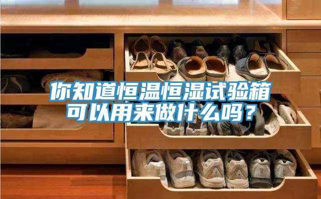 你知道恒溫恒濕試驗箱可以用來做什麽嗎？