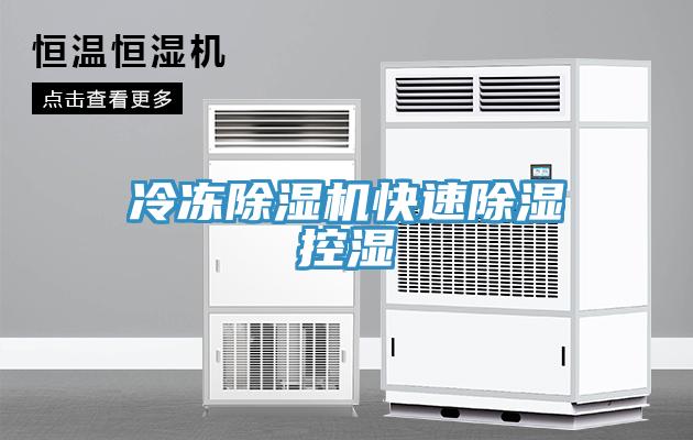 冷凍草莓视频污污污污快速除濕控濕