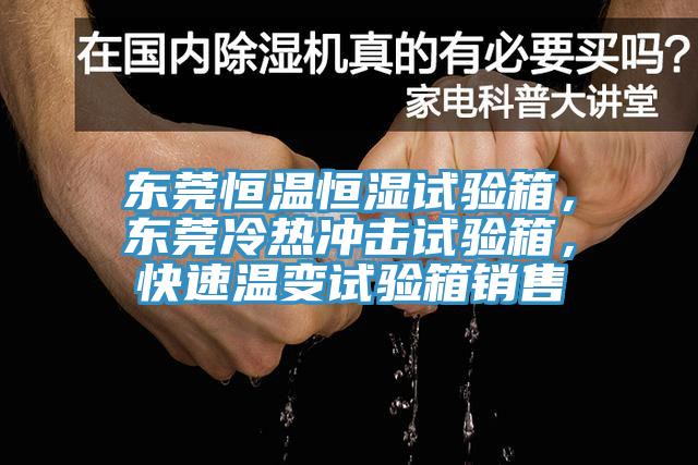 東莞恒溫恒濕試驗箱，東莞冷熱衝擊試驗箱，快速溫變試驗箱銷售
