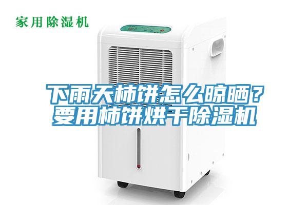 下雨天柿餅怎麽晾曬？要用柿餅烘幹草莓视频污污污污