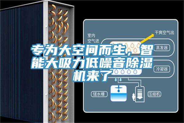 專為大空間而生，智能大吸力低噪音草莓视频污污污污來了