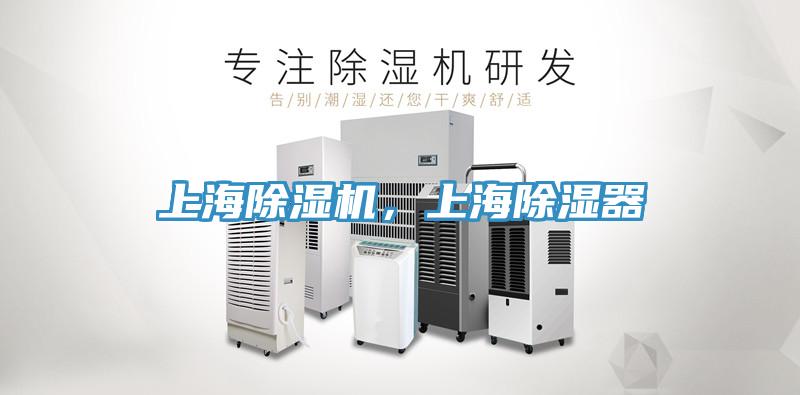 上海草莓视频污污污污，上海除濕器