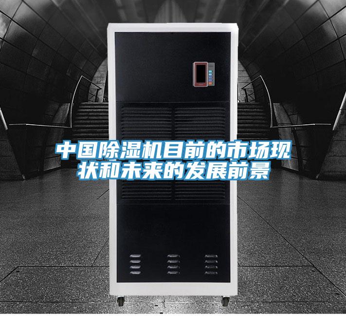 中國草莓视频污污污污目前的市場現狀和未來的發展前景