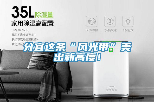 分宜這條“風光帶”美出新高度！