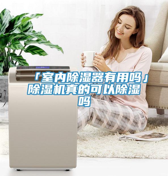 「室內除濕器有用嗎」草莓视频污污污污真的可以除濕嗎