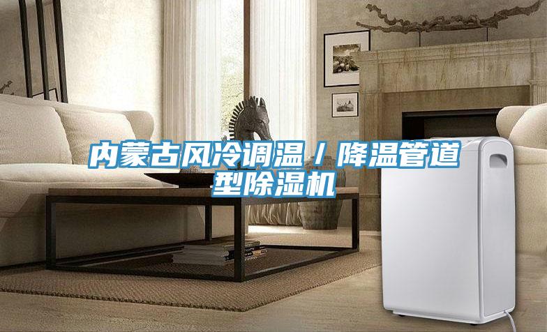 內蒙古風冷調溫／降溫管道型草莓视频污污污污