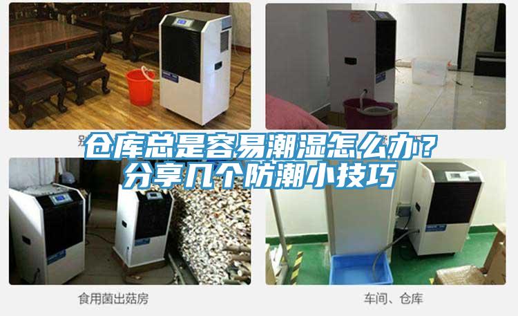 倉庫總是容易潮濕怎麽辦？分享幾個防潮小技巧
