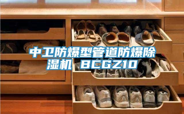 中衛防爆型管道防爆草莓视频污污污污 BCGZ10