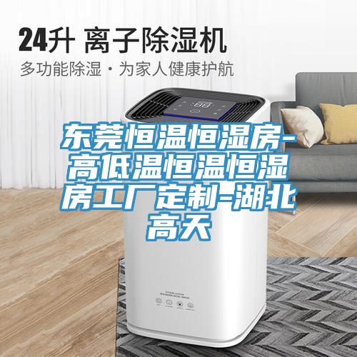 東莞恒溫恒濕房-高低溫恒溫恒濕房工廠定製-湖北高天