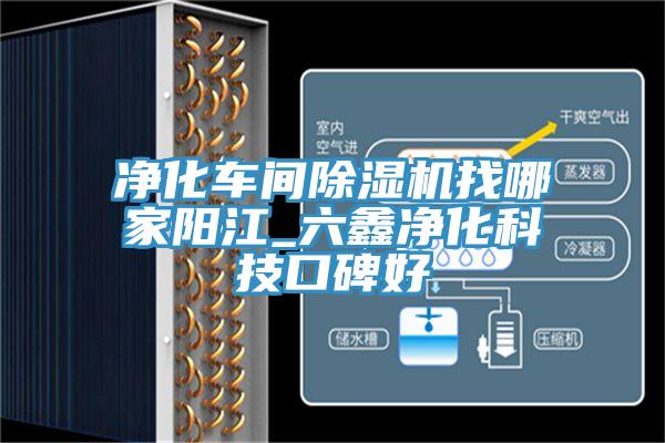 淨化車間草莓视频污污污污找哪家陽江_六鑫淨化科技口碑好
