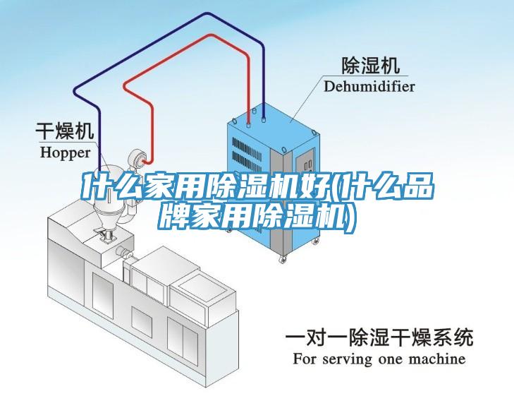 什麽家用草莓视频污污污污好(什麽品牌家用草莓视频污污污污)