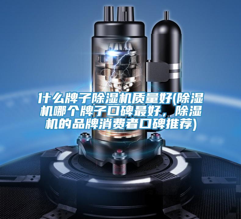 什麽牌子草莓视频污污污污質量好(草莓视频污污污污哪個牌子口碑最好，草莓视频污污污污的品牌消費者口碑推薦)
