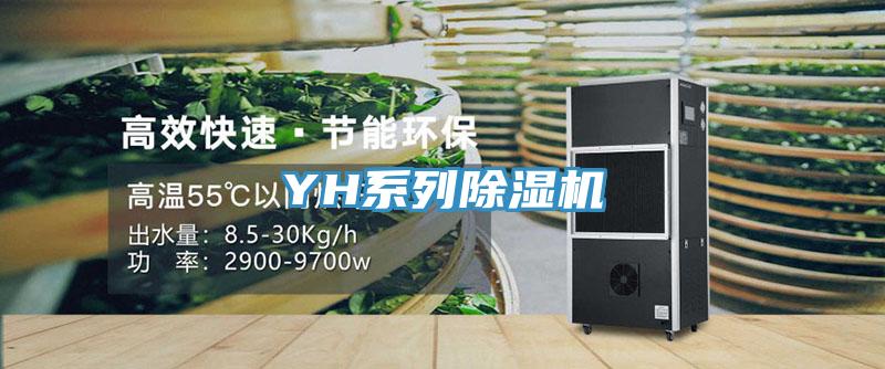 YH係列草莓视频污污污污