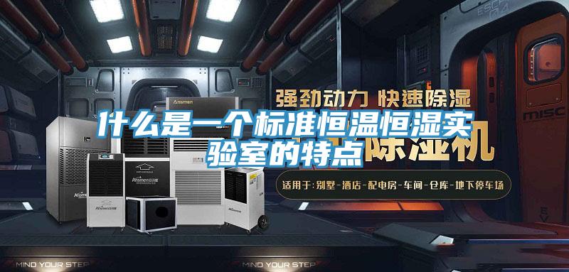 什麽是一個標準恒溫恒濕實驗室的特點