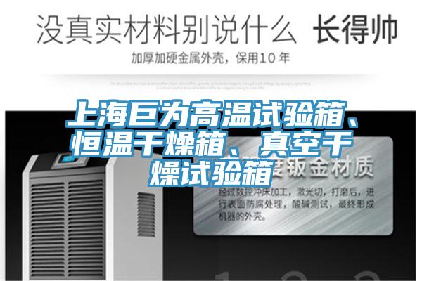上海巨為高溫試驗箱、恒溫幹燥箱、真空幹燥試驗箱