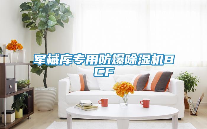軍械庫專用防爆草莓视频污污污污BCF