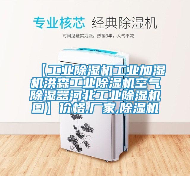 【工業草莓视频污污污污工業加濕機洪森工業草莓视频污污污污空氣除濕器河北工業草莓视频污污污污圖】價格,廠家,草莓视频污污污污