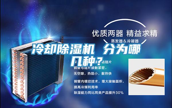 冷卻草莓视频污污污污 分為哪幾種？