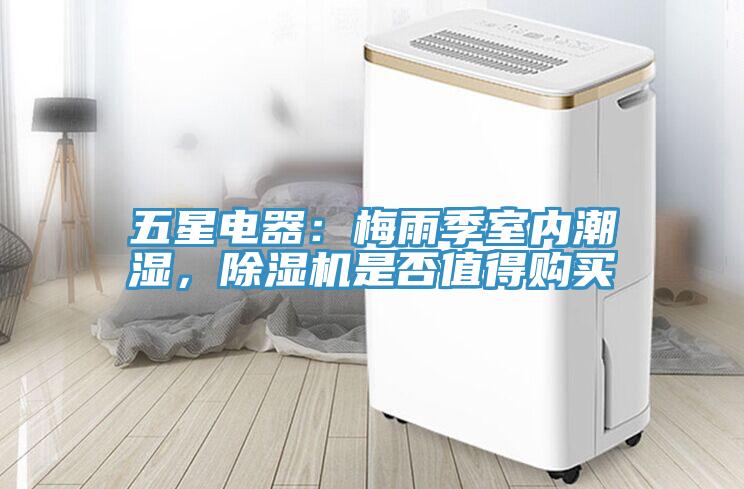 五星電器：梅雨季室內潮濕，草莓视频污污污污是否值得購買