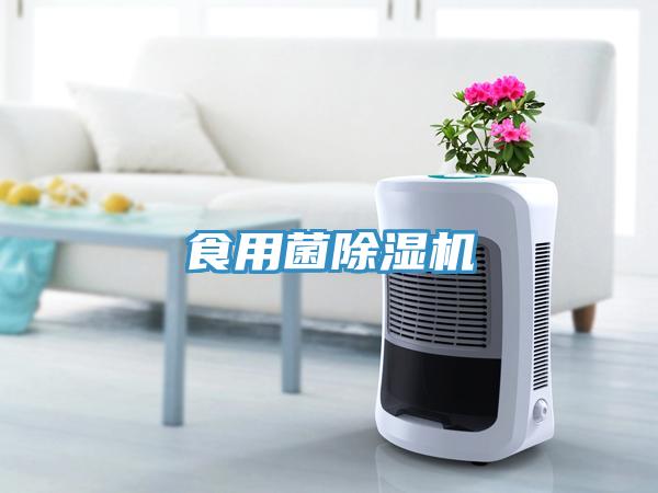 食用菌草莓视频污污污污