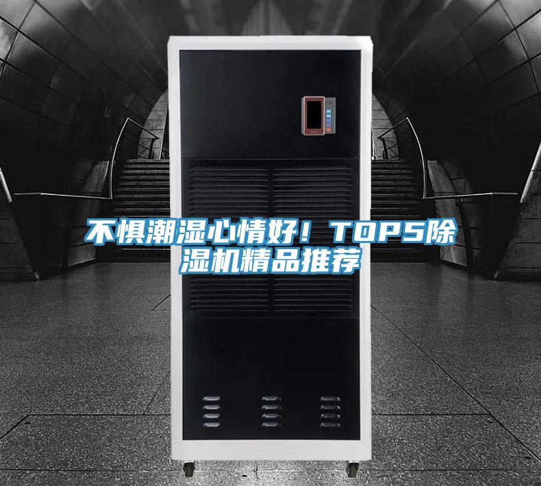 不懼潮濕心情好！TOP5草莓视频污污污污精品推薦