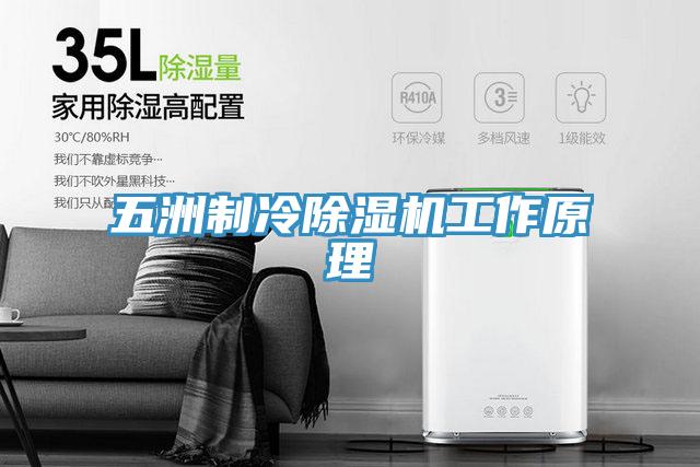五洲製冷草莓视频污污污污工作原理